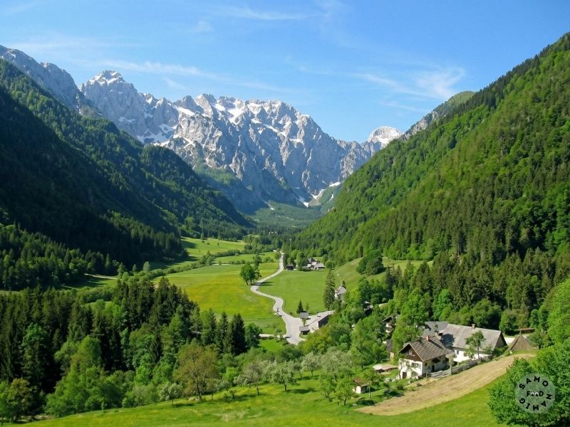 Alpska pravljica in zeleno zlato
