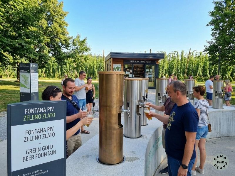 Alpska pravljica in zeleno zlato