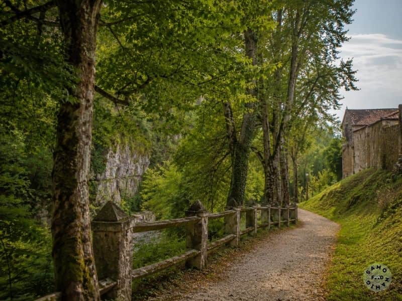 Kulturni utrip in kraške zgodbe