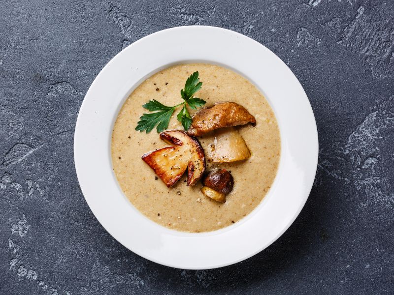 Gobova juha – gozdni zaklad na krožniku